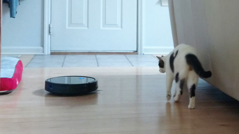 Anker Eufy RoboVac 11s | $187 | AmazonFoto: Corey Foster